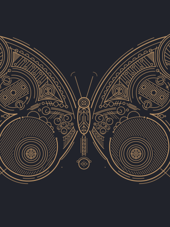 butterfly
